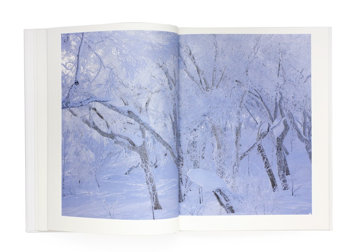 The Essence of the Winter Forest - Yoichi Watanabe