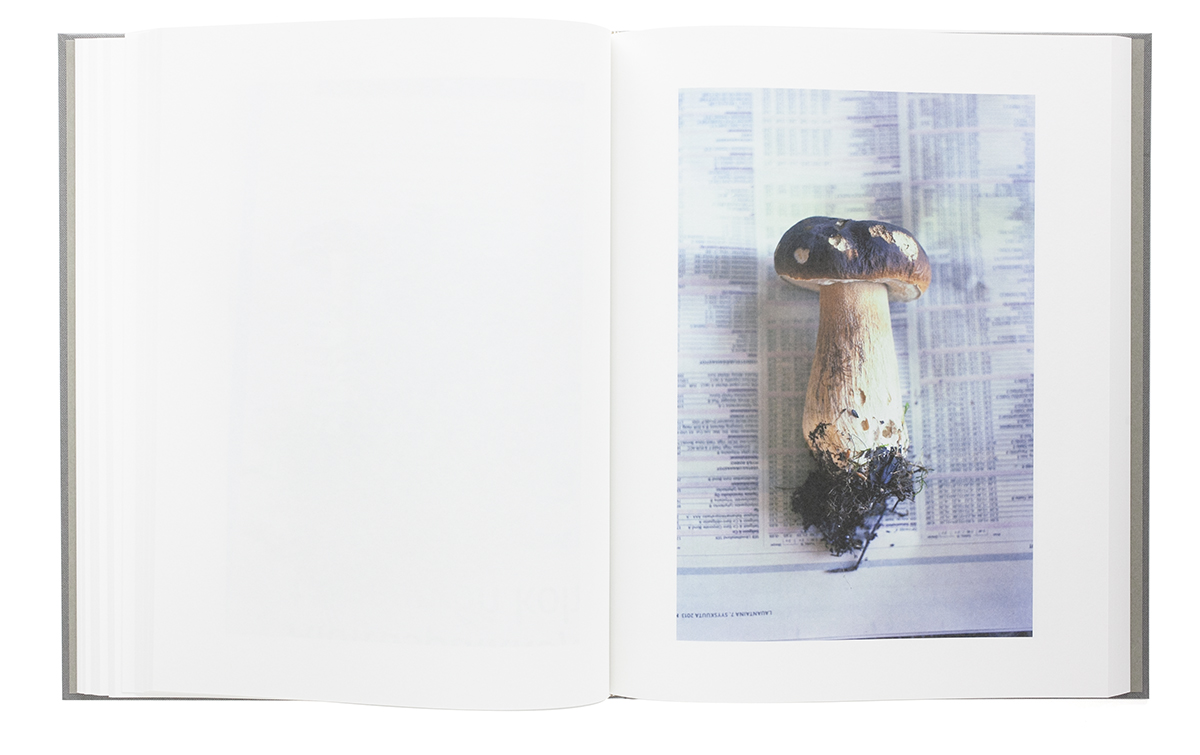 Symphony – mushroom from the forest - Takashi Homma