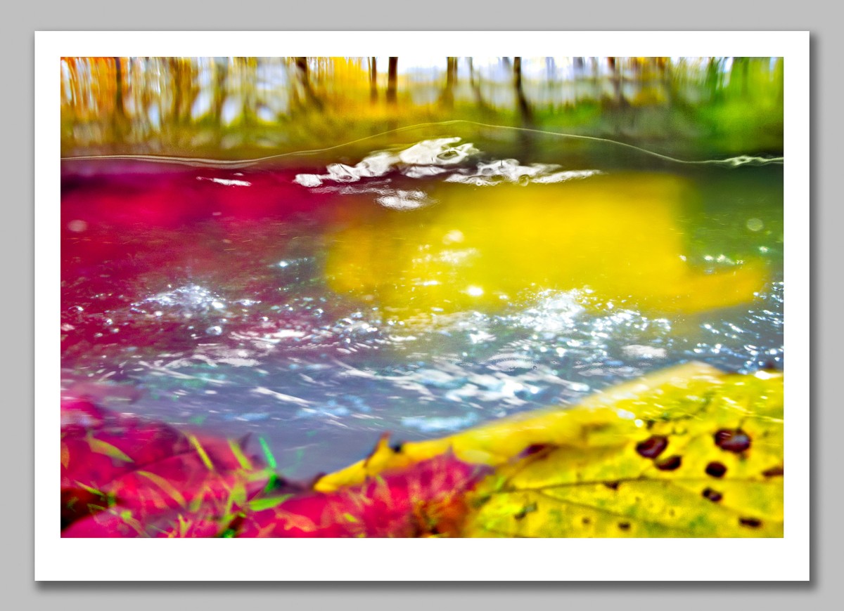 Autumn River: 6 Posters - Philip J Brittan