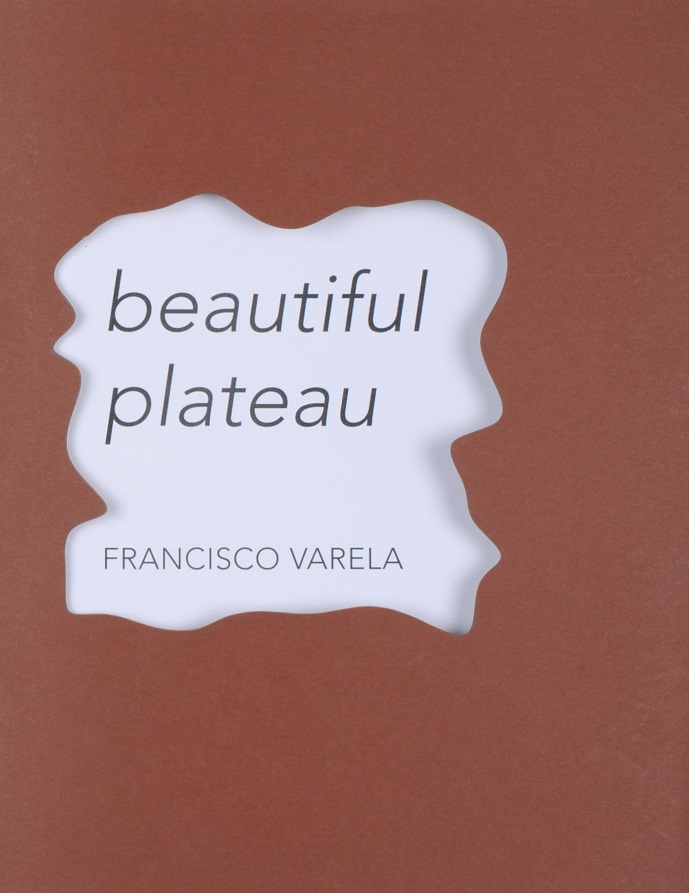 Beautiful plateau - Francisco Varela