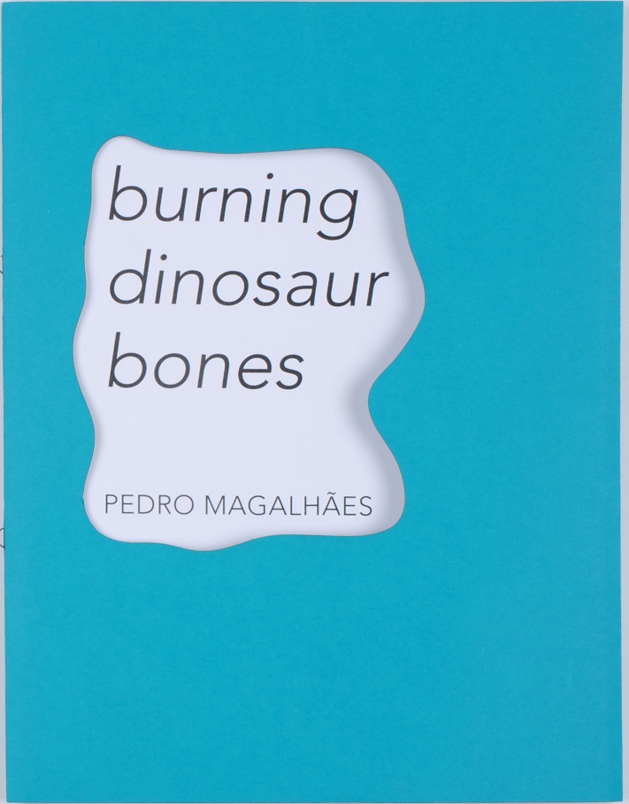Burning dinosaur bones
