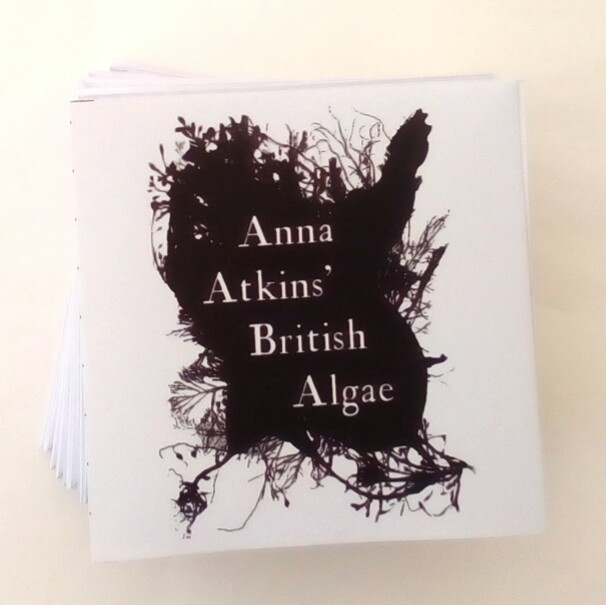 Anna Atkins’ British Algae