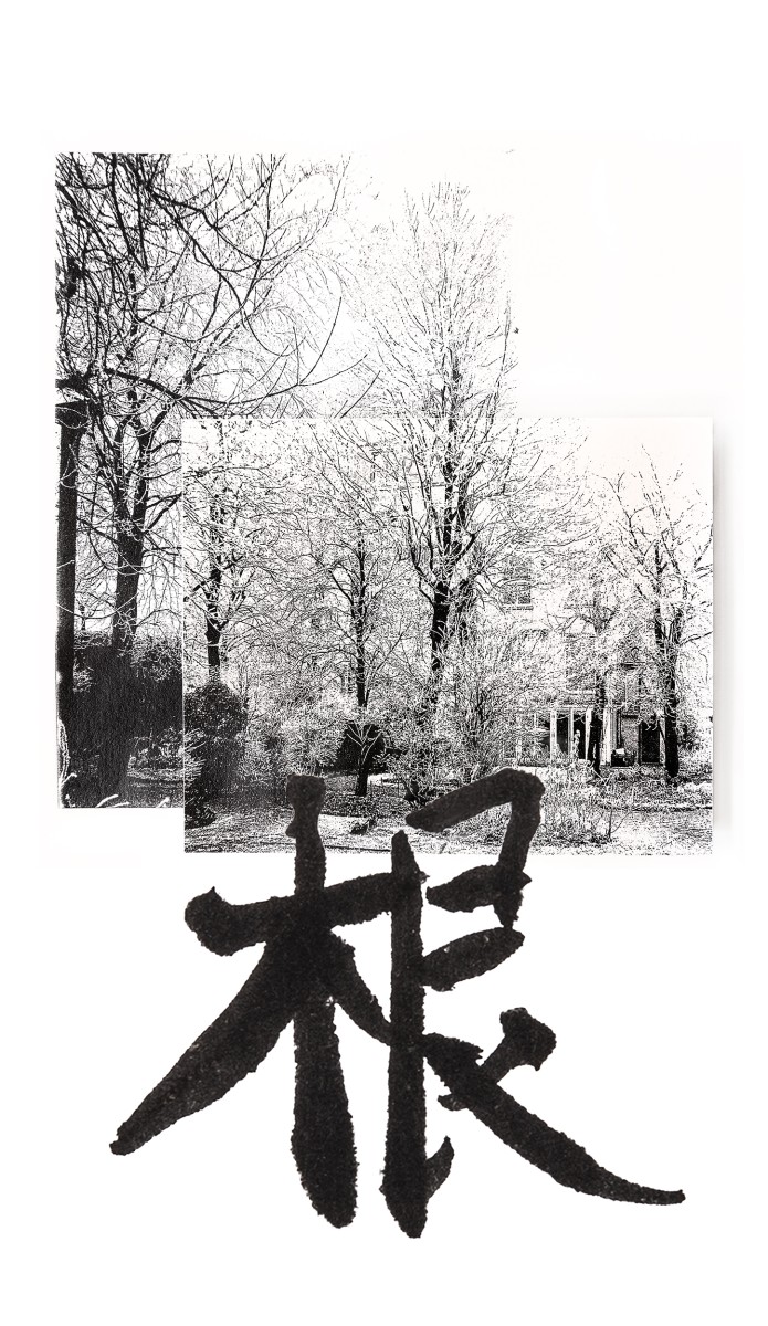 Photo art book ROOTING – becoming roots - Cara Louwman - Yuen Yee Li