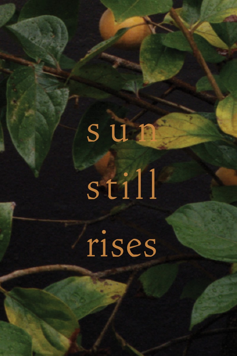 Sun Still Rises - Vera Benschop