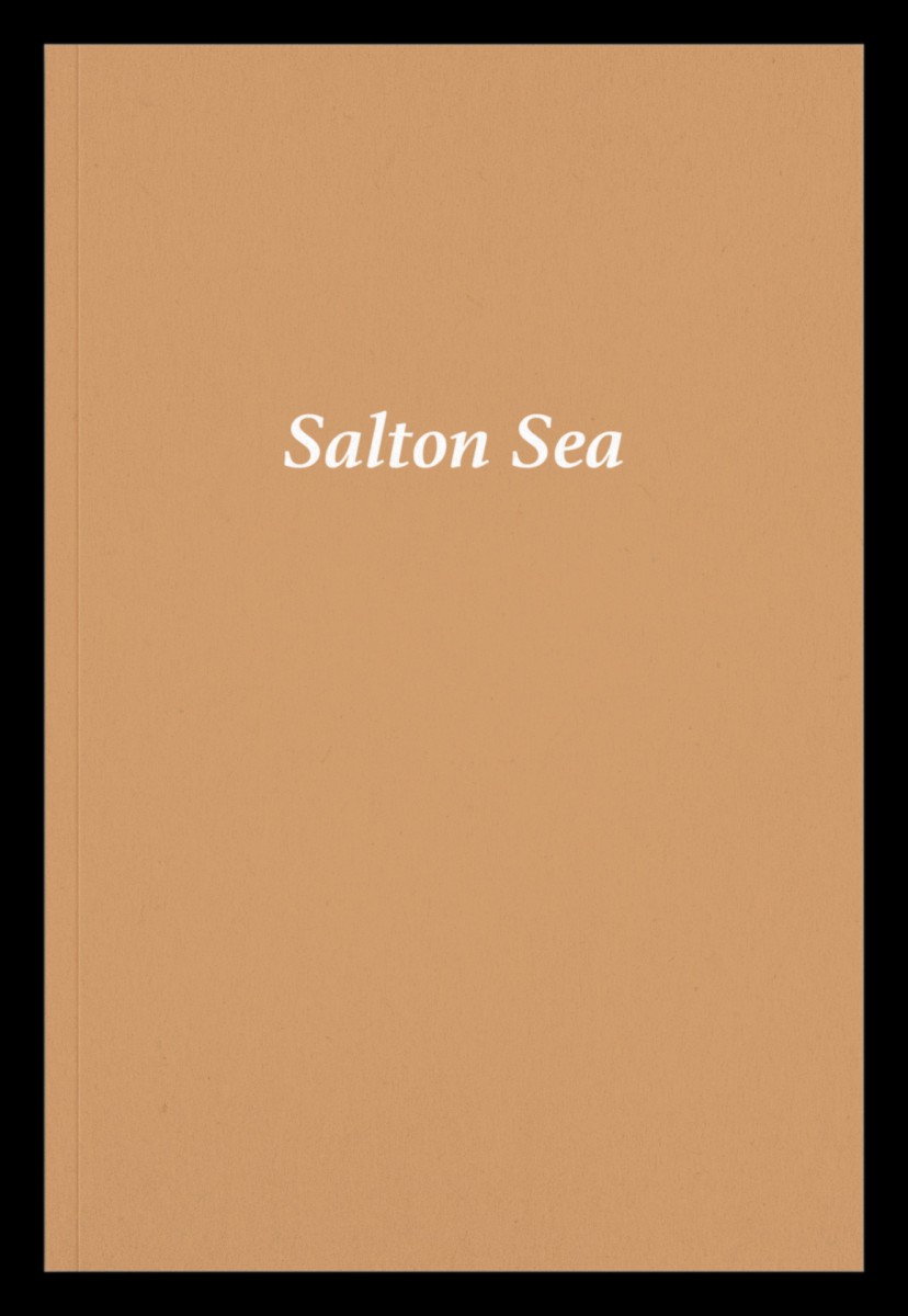 Salton Sea - David Diez