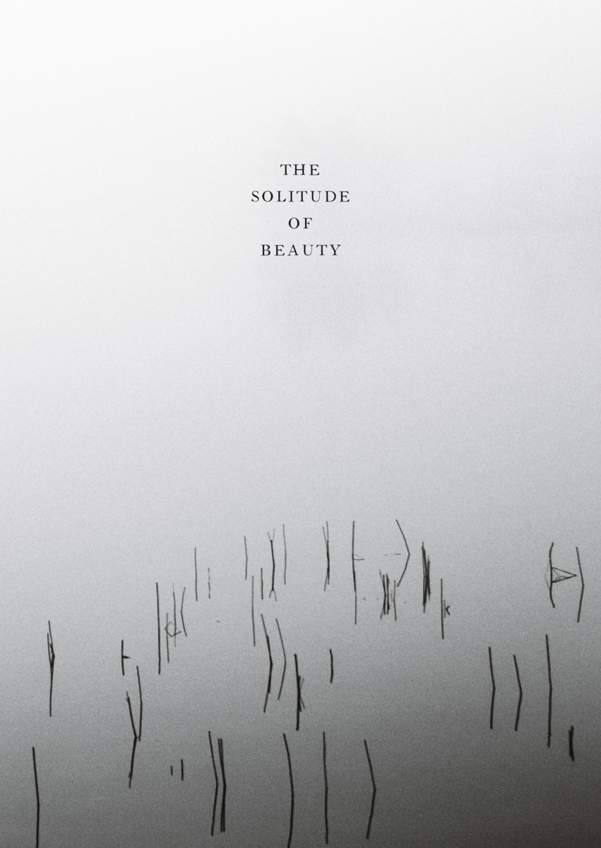 The Solitude of Beauty - Víctor González