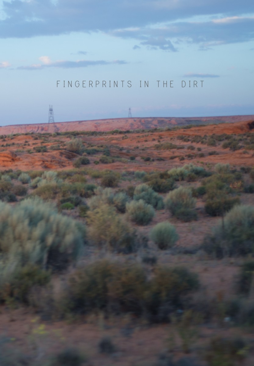 Fingerprints in the Dirt - Vera Benschop