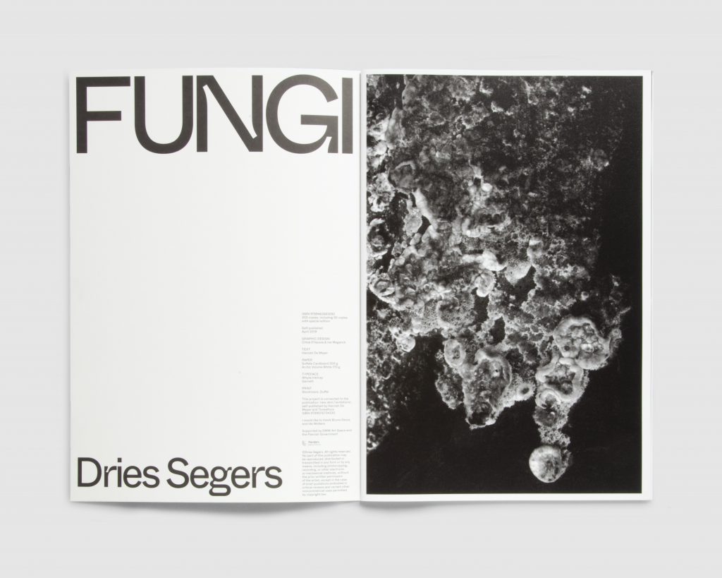 FUNGI – Collectors Edition - Dries Segers