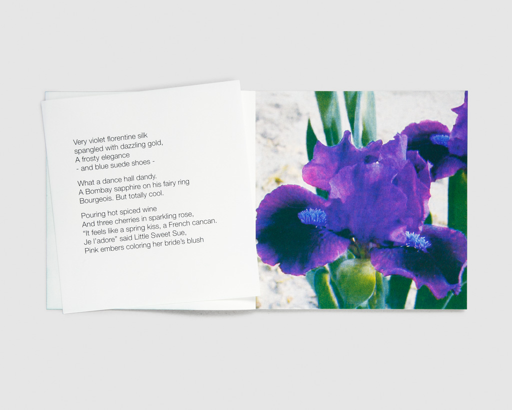 IRIS Number 3: Very violet - Stéphanie Lagarde