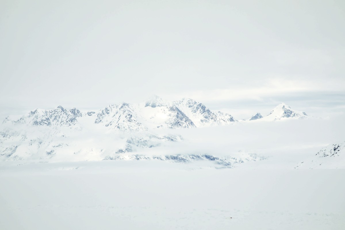 La Línea Blanca  –  The White Line - Rosa Rodriguez