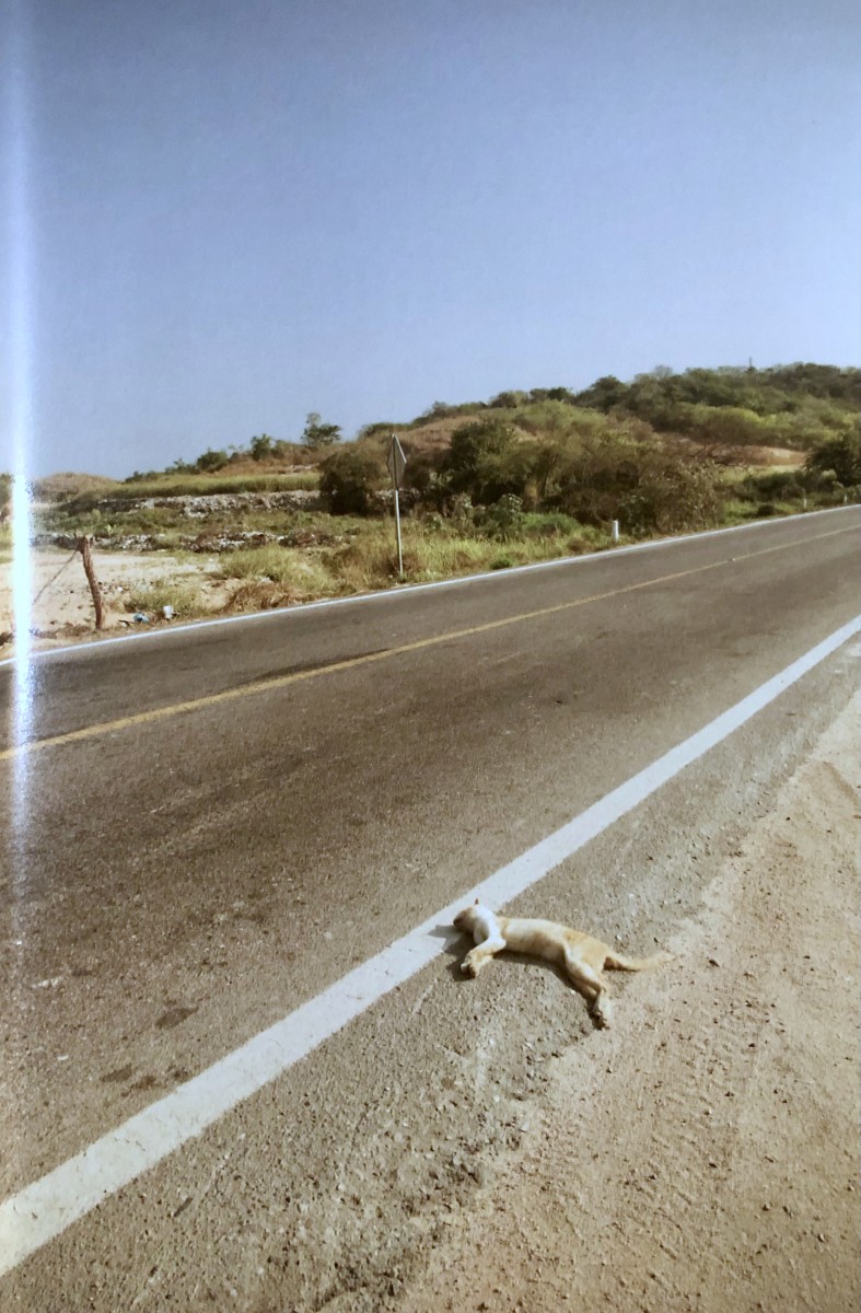 Carretera Nacional - Melba Arellano