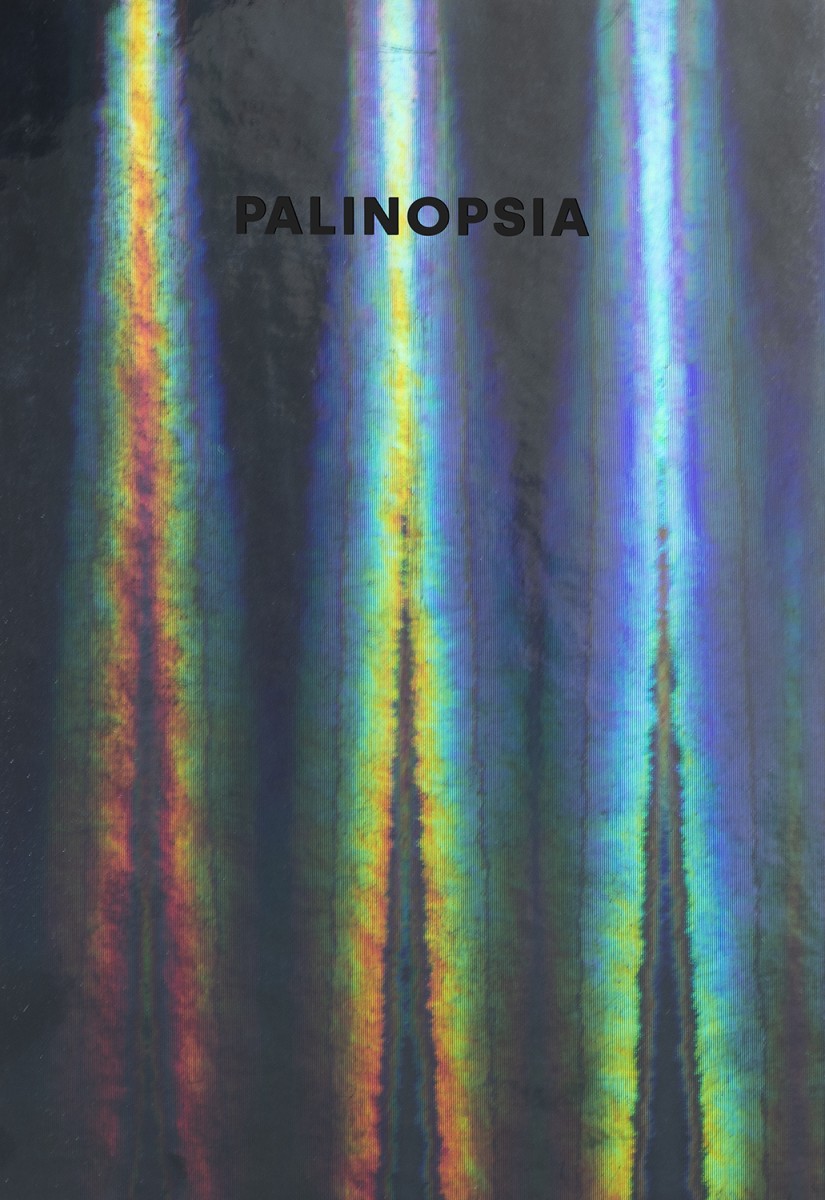 Palinopsia - Michaela Putz