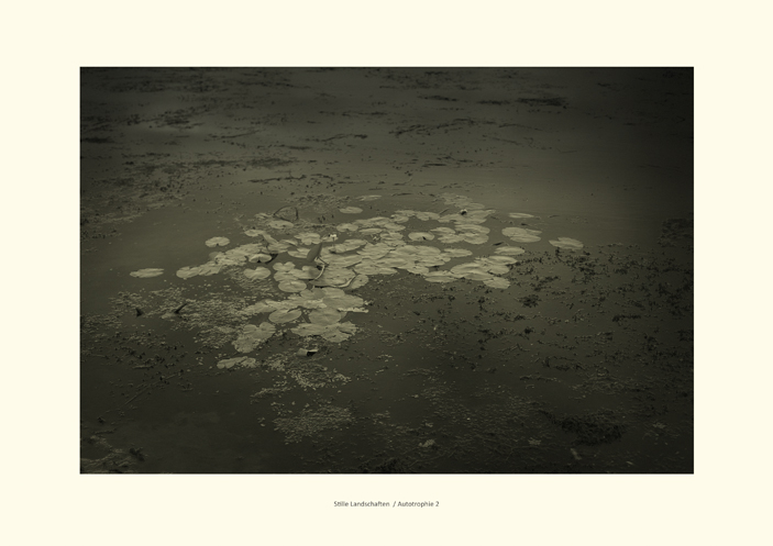 Correspondence. Quiet landscapes. Heterotrophy-Autotrophy - Evelyn Hellenschmidt