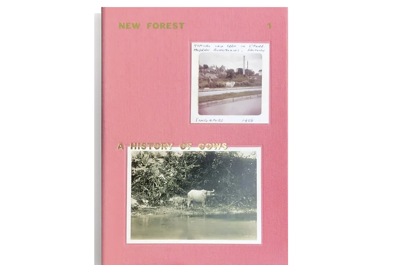 New Forest 1: A History of Cows