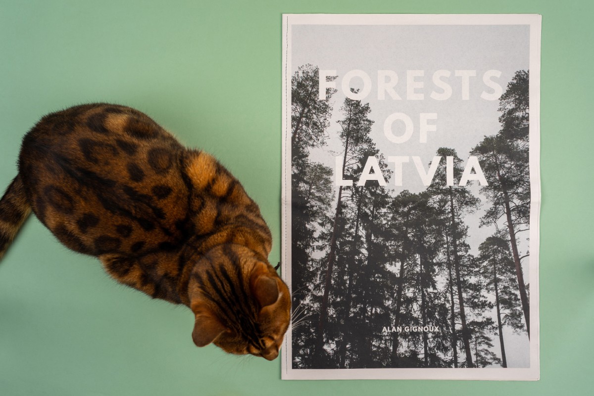 FORESTS OF LATVIA - Alan Gignoux