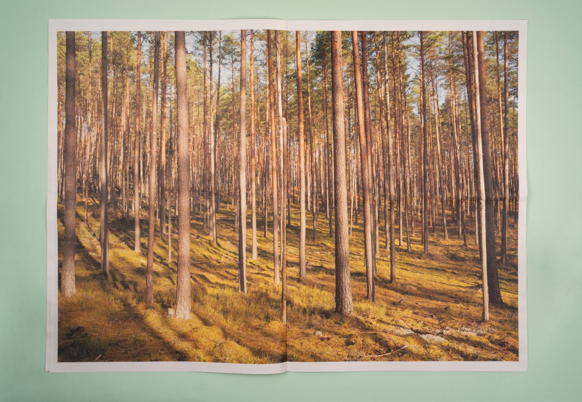 FORESTS OF LATVIA - Alan Gignoux
