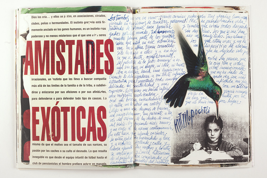 Vivir de Milagro. Los cuadernos mexicanos - Juana Andueza