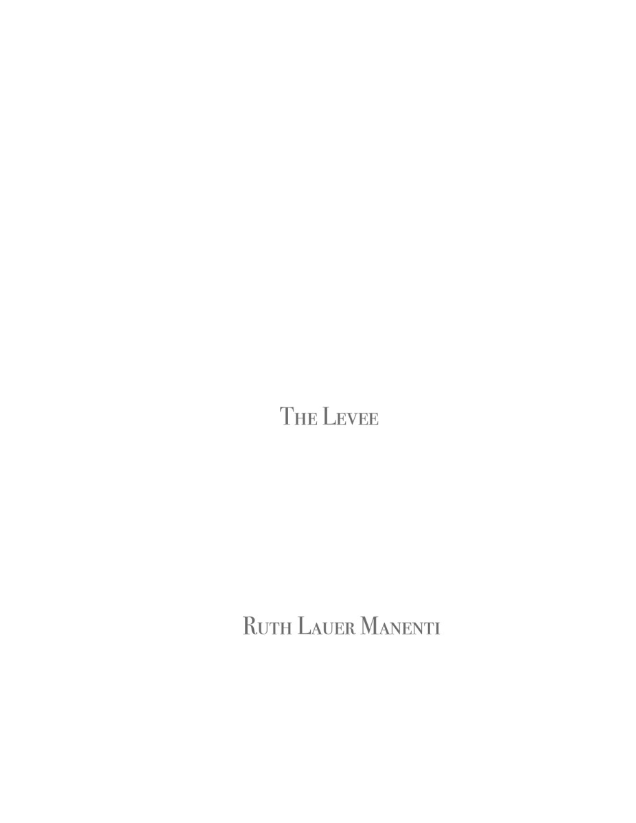 The Levee - Ruth Lauer Maneti