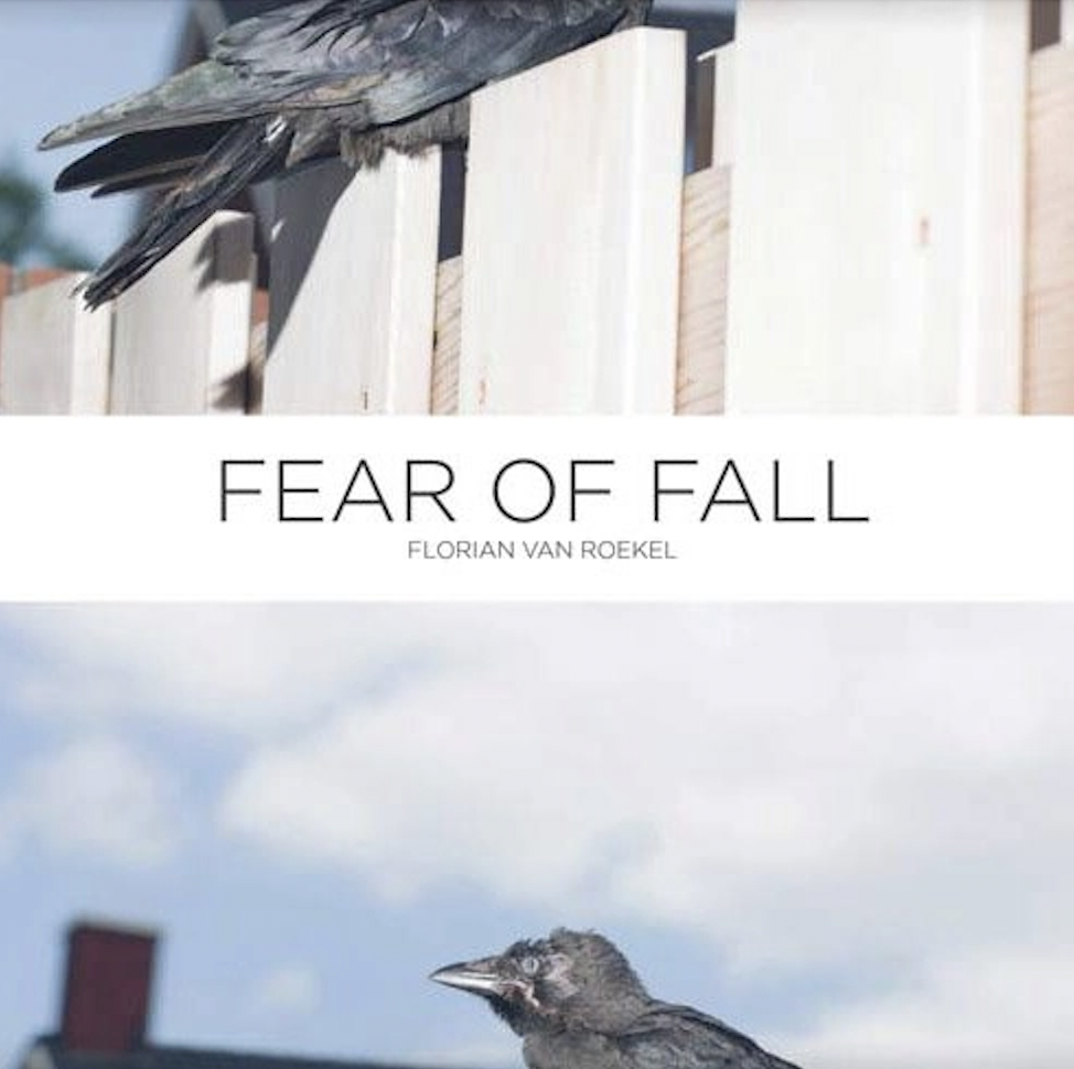 Fear of Fall - Florian van Roekel