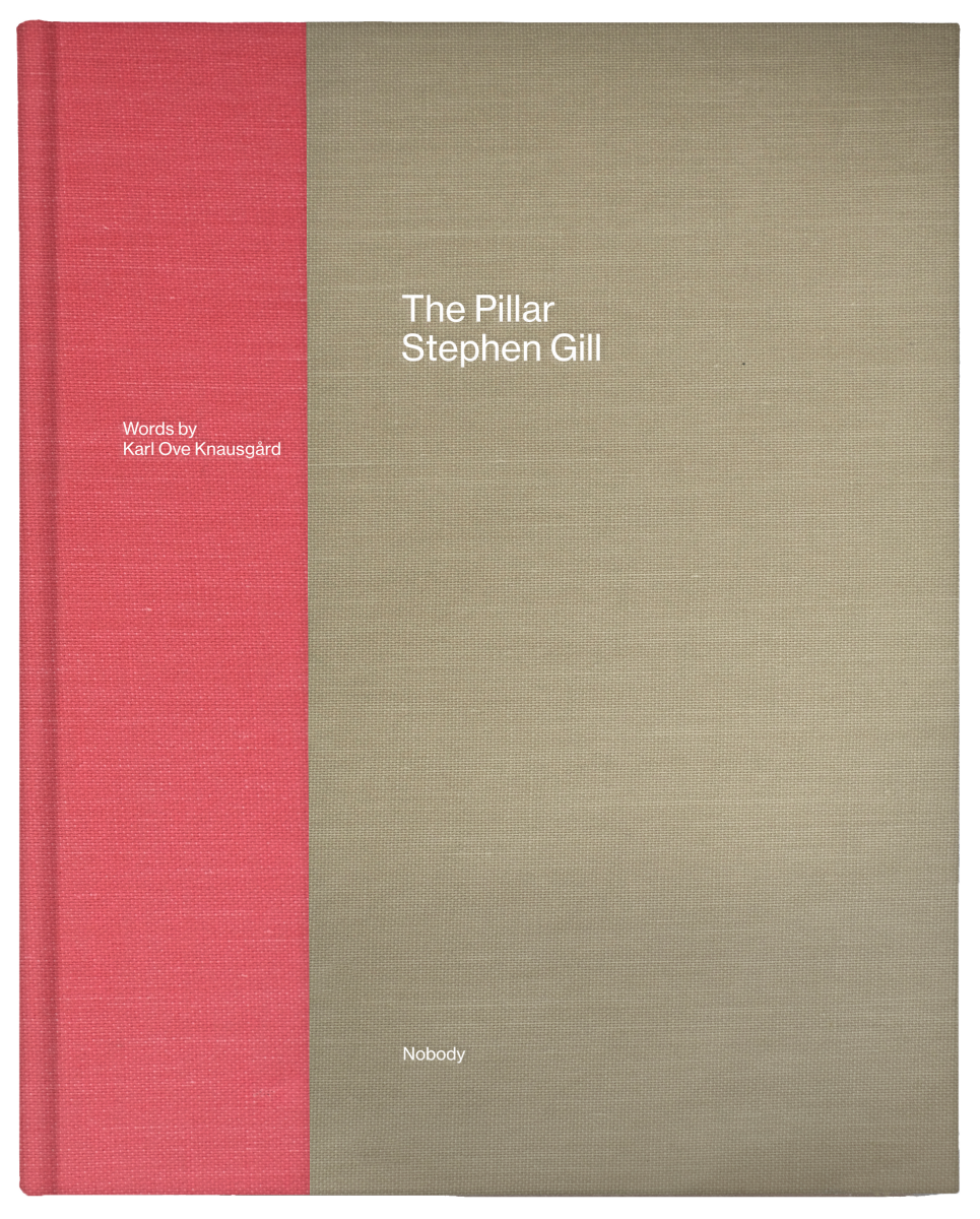 The Pillar - Stephen Gill