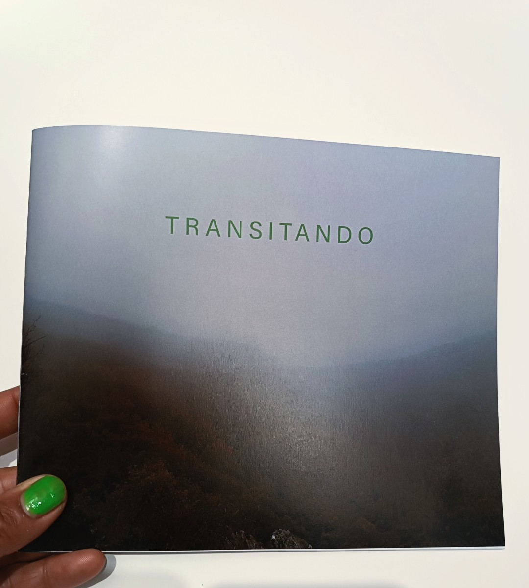 Transitando - Solange Contreras Pavez