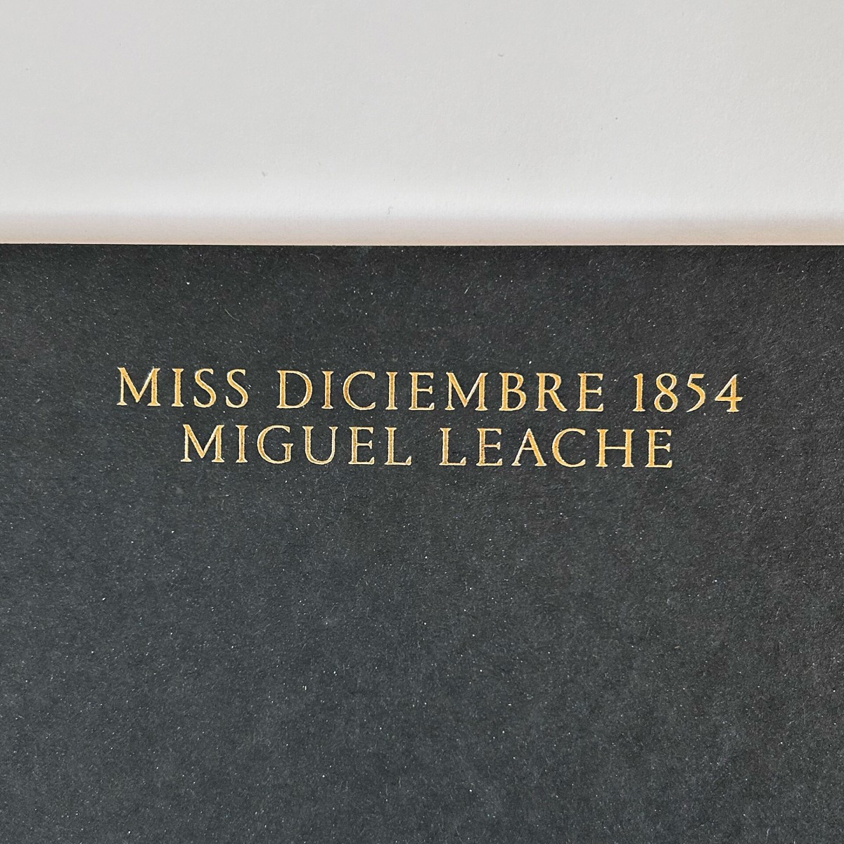 MISS DICIEMBRE 1854 - Miguel Leache