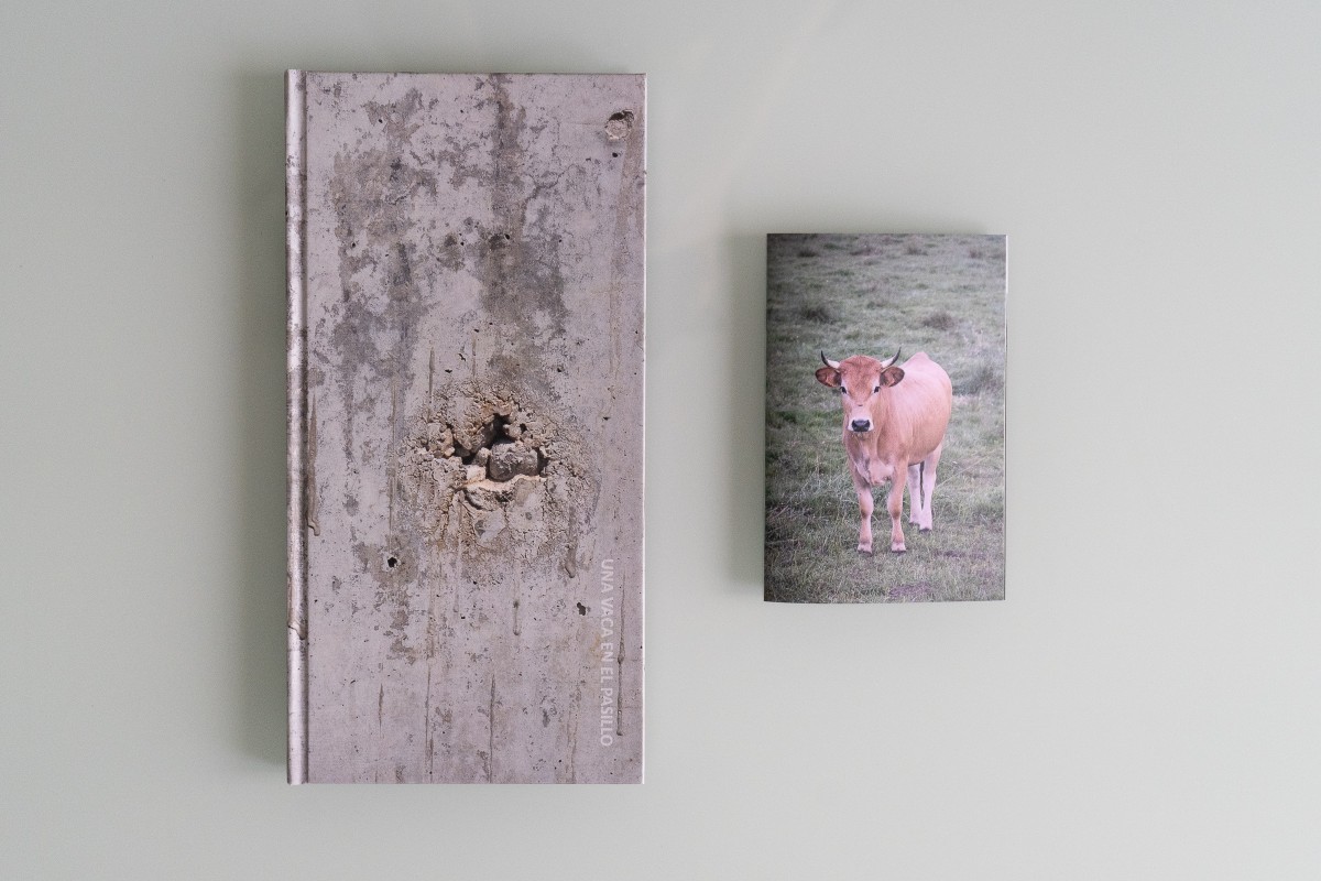 Una vaca en el pasillo - Javier Villabrille