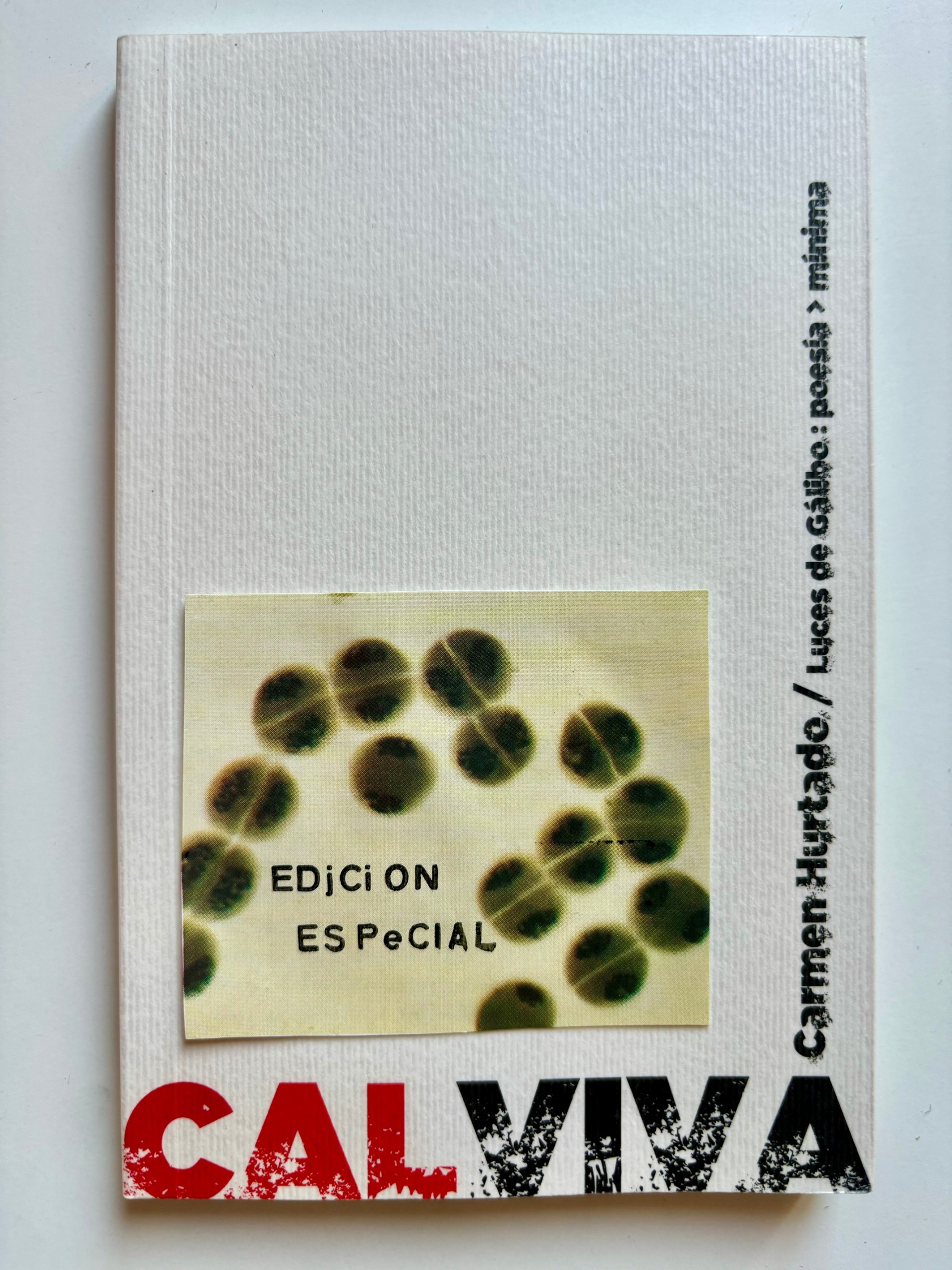 CAL VIVA. Un diario de sueños. Edición especial