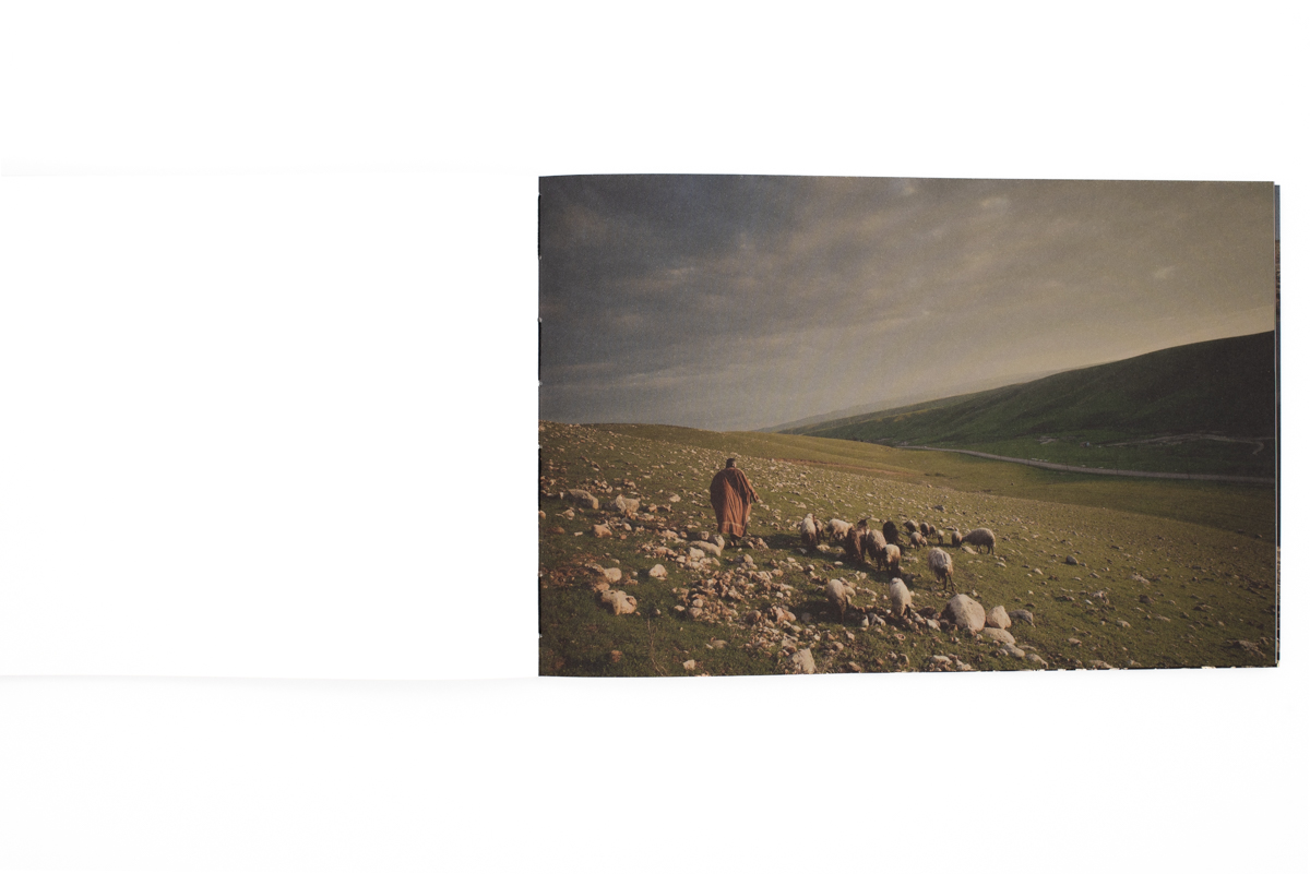 Shepherds and the Slaughterhouse - Simon Chang