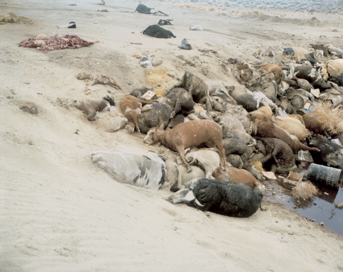 Cantos del desierto - Richard Misrach