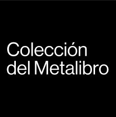 Fiebre Photobook - Javiera Novoa (Editorial Colección del Metalibro)