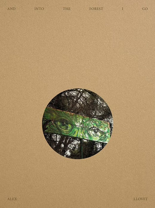 And Into the Forest I Go