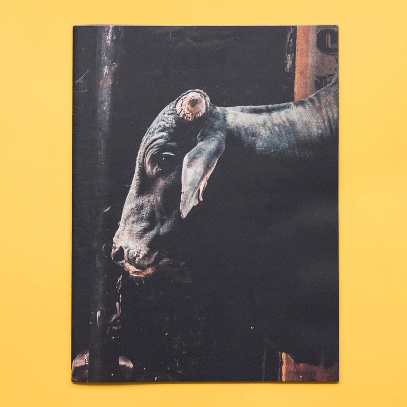 Varanasi - Tomás Munita