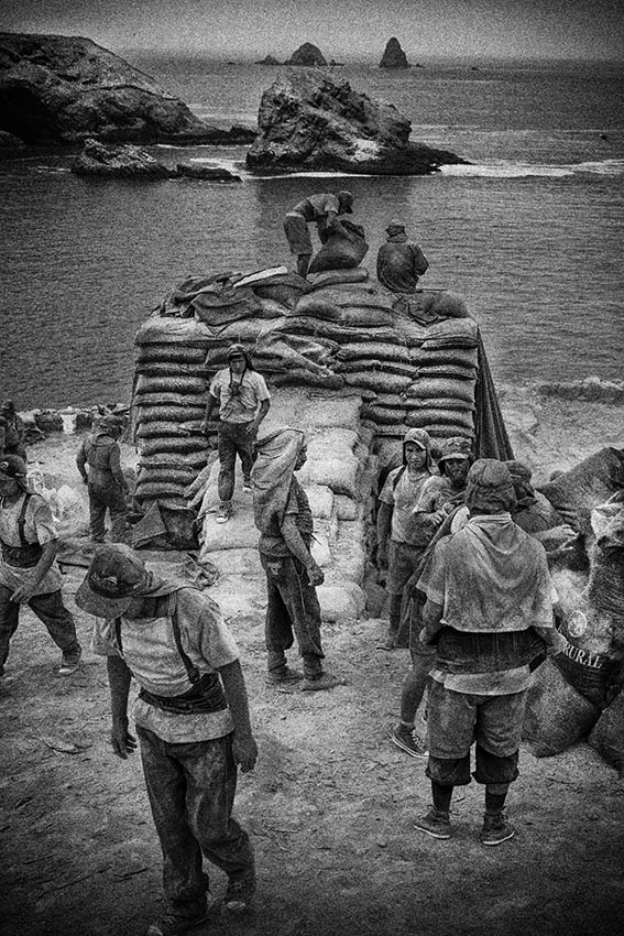 Chincha - Rodrigo Gómez-Rovira