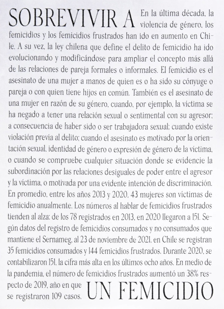 SOBREVIVIR A UN FEMINICIDIO