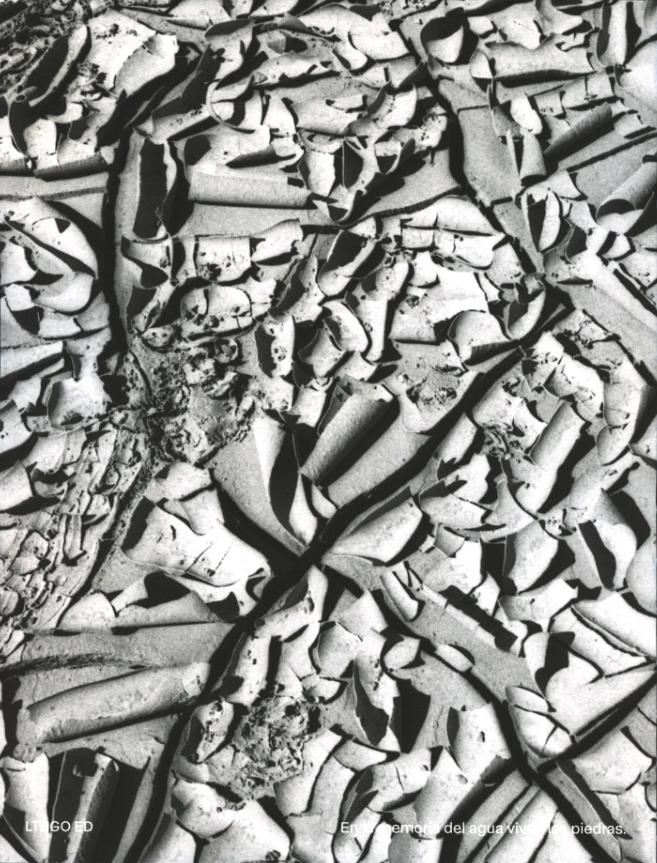 En la memoria del agua viven las piedras - Víctor Salgado Pineda