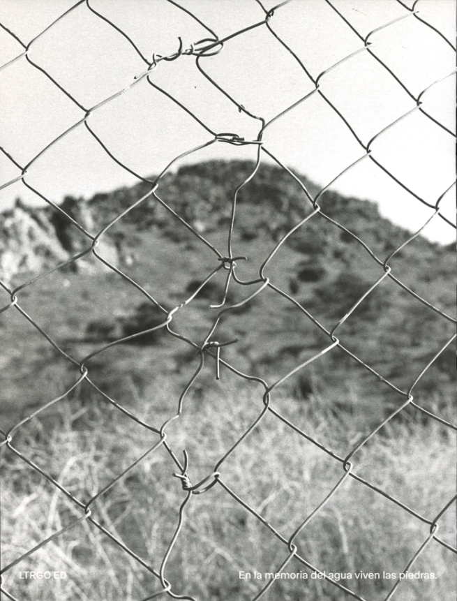 En la memoria del agua viven las piedras - Víctor Salgado Pineda