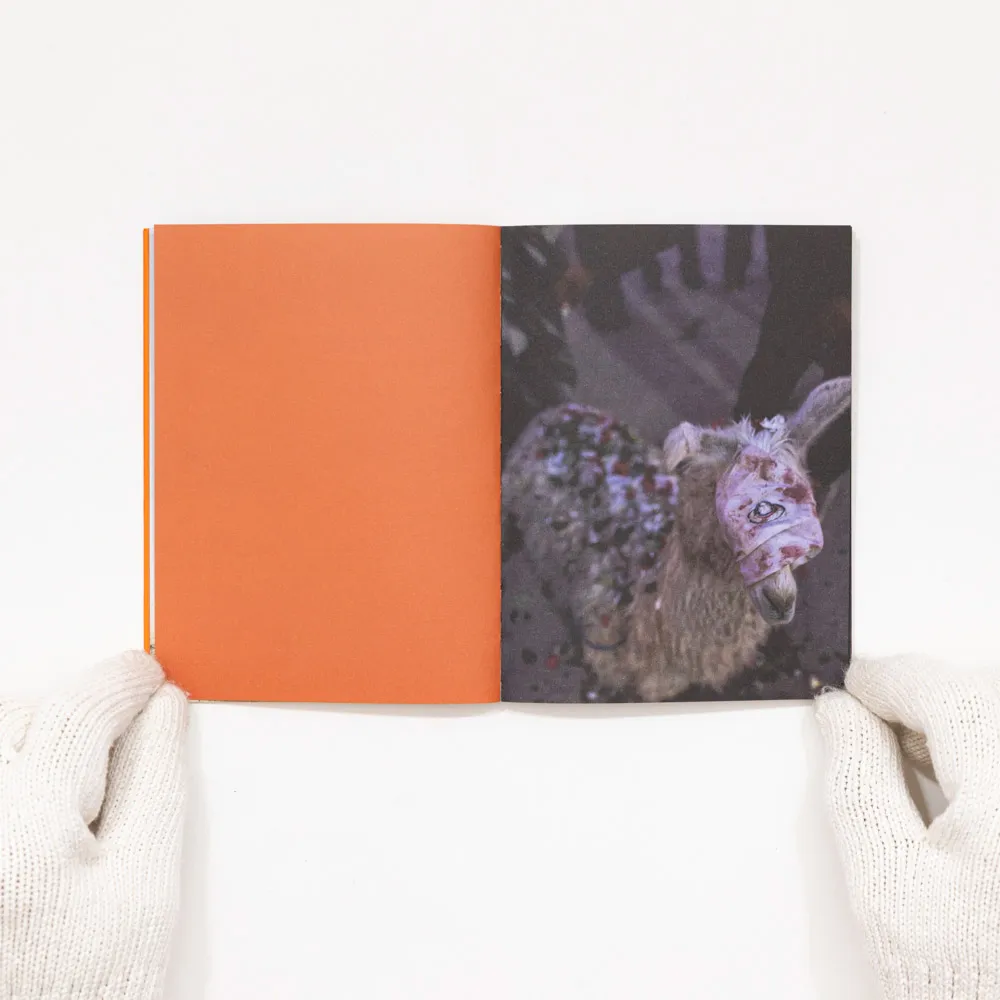 Humor Sagrado - Wilson Muñoz - Rodrigo Villalón Ardisoni