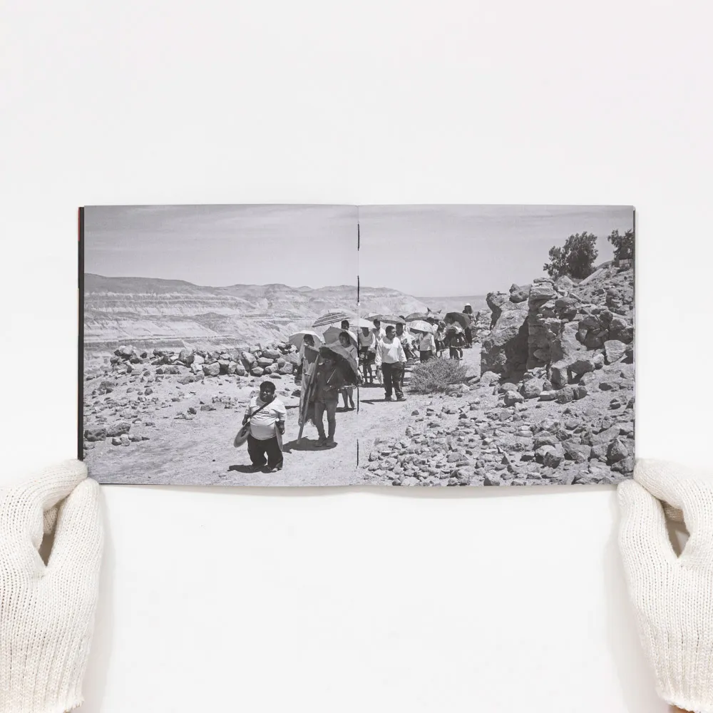 Pachica - Rodrigo Villalón Ardisoni