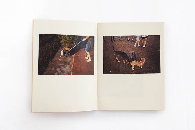 Fazenda Marajó - Isadora Brant