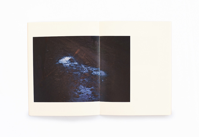 Fazenda Marajó - Isadora Brant