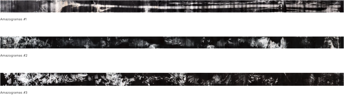 Amazogramas - Roberto Huarcaya