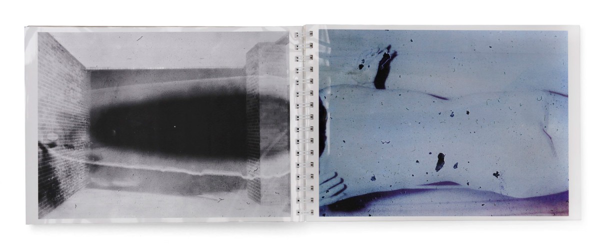 Toransupearento - Daisuke Yokota