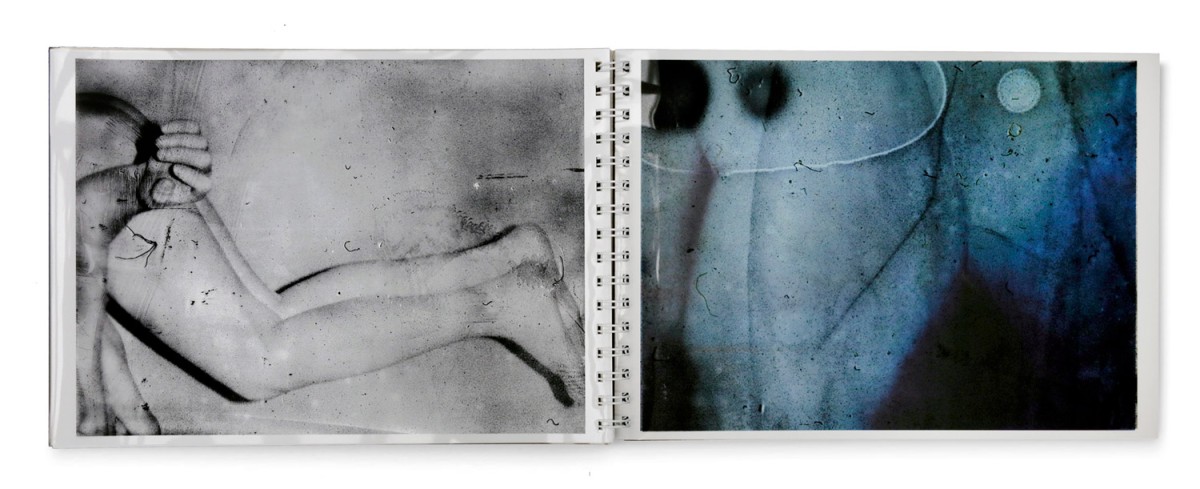 Toransupearento - Daisuke Yokota